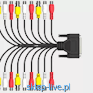 Magewell Accessory DB25 to 6 AV cable